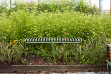 Afbeelding in Gallery-weergave laden, HAY | Palissade Bench
