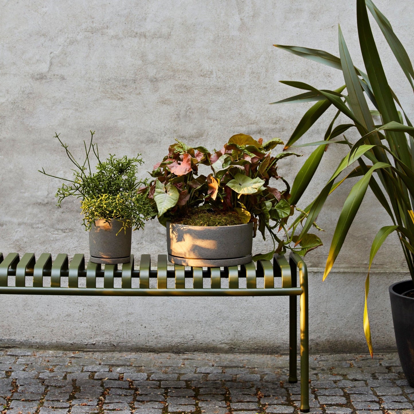 HAY | Palissade Bench