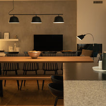 Load image into Gallery viewer, MUUTO | Ambit Rail Pendant
